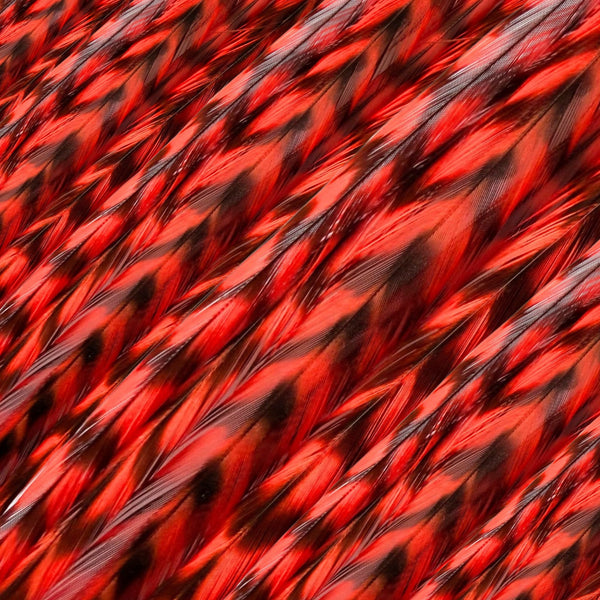 close up of red grizzly feather hair extensions in regular width ,real hair feathers for feather hairstyling