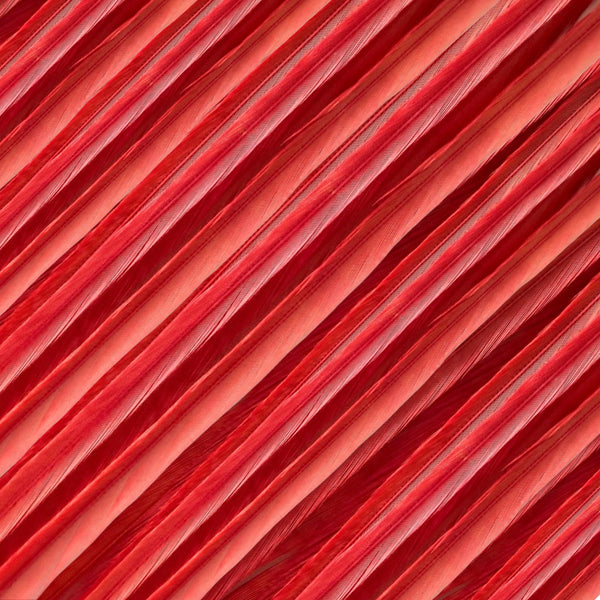 close up of red solid feather hair extensions in regular width ,real hair feathers for feather hairstyling