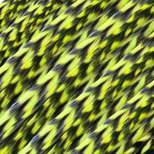 close up of yellow grizzly feather hair extensions in regular width ,real hair feathers for feather hairstyling