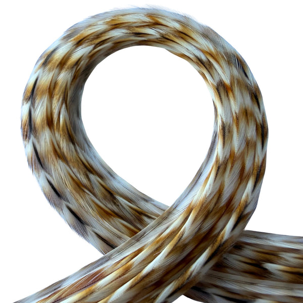 closeup of natural ginger grizzly feather hair extensions, a natural ginger and white grizzly striped real feather for hairstyling