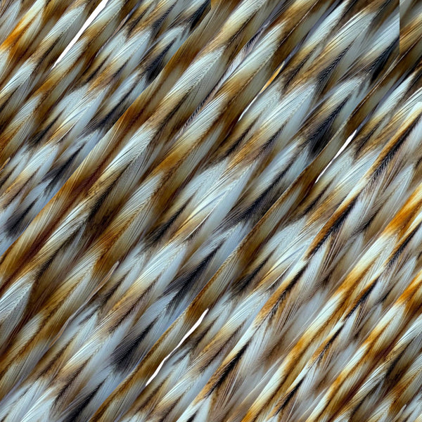 closeup of natural ginger grizzly feather hair extensions, a natural ginger and white grizzly striped real feather for hairstyling
