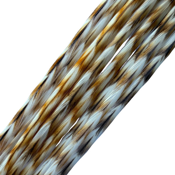 closeup of natural ginger grizzly feather hair extensions, a natural ginger and white grizzly striped real feather for hairstyling