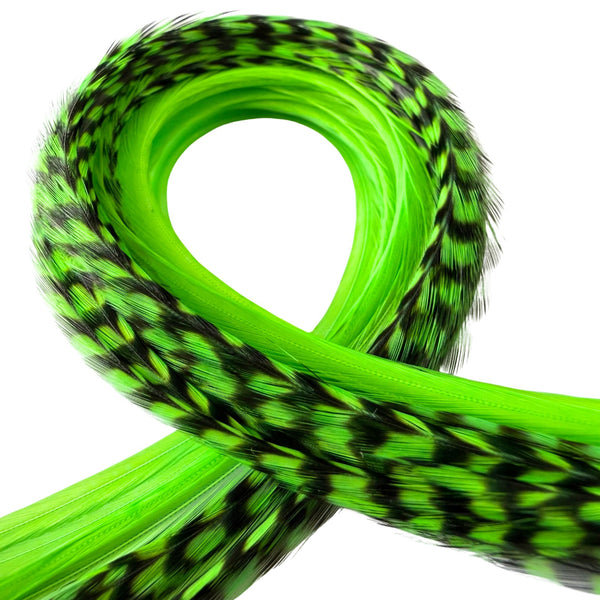 green grizzly and solid feather hair extensions close-up, natural pattern real feather strands for hair styling