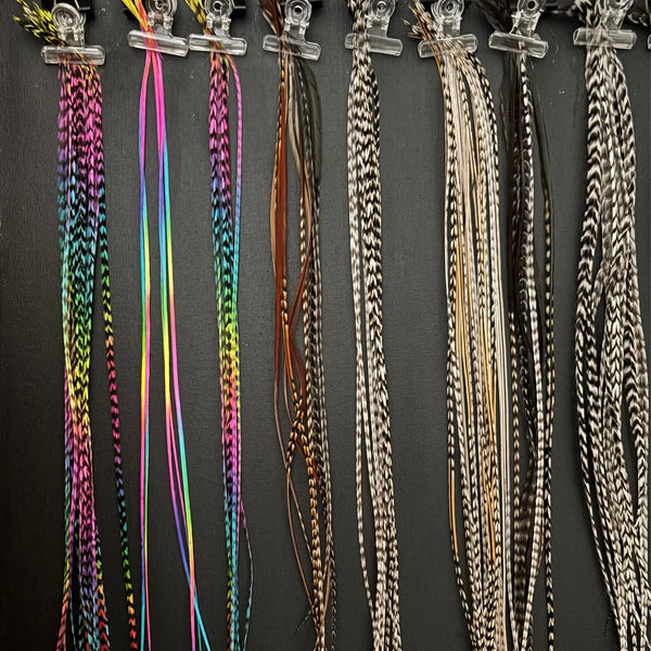 Retail display board showing XXL natural feather hair extensions and Rainbow Grizzly Feather Extensions 