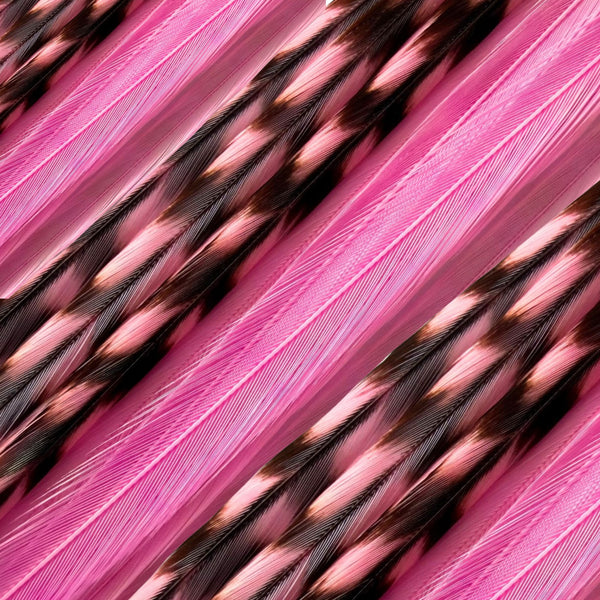 close up of hot pink solid and grizzly feather hair extensions in regular width ,real striped feathers for  feather hairstyling