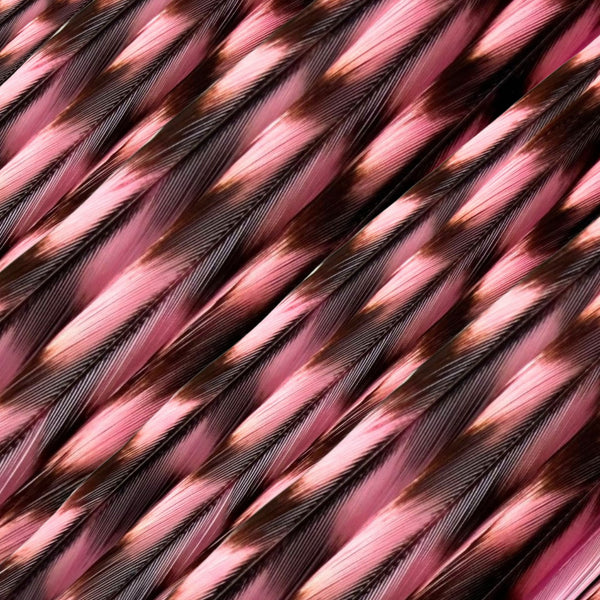 close up of hot pink grizzly feather hair extensions in regular width ,real striped feathers for feather hairstyling