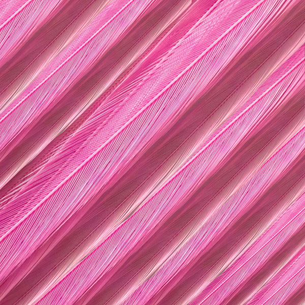 close up of hot pink solid feather hair extensions in regular width ,real striped feathers for feather hairstyling