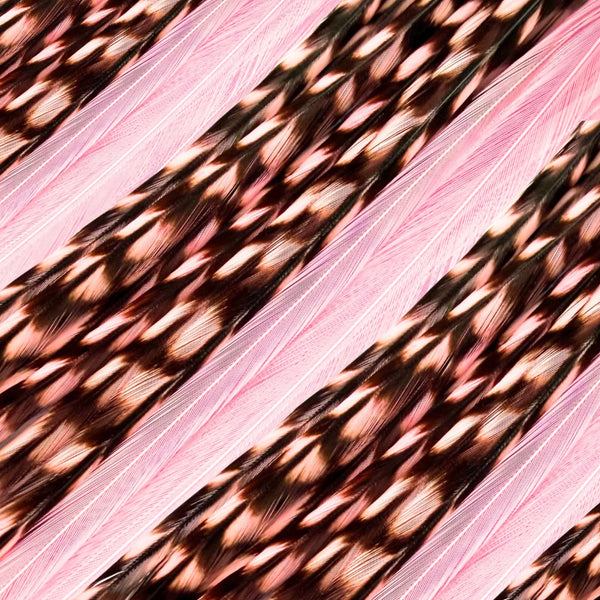 close up of light pink feather hair extensions in solid and grizzly regular width ,real hair feathers for feather hairstyling
