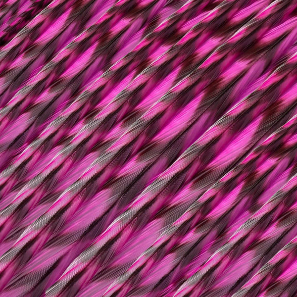 close up of pink magenta grizzly feather hair extensions in regular width ,real hair feathers for feather hairstyling