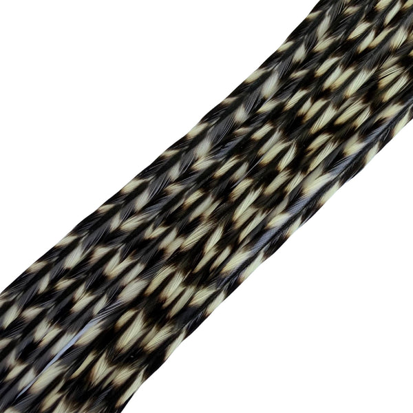 black white grizzly feather hair extensions natural striped real feathers in hair