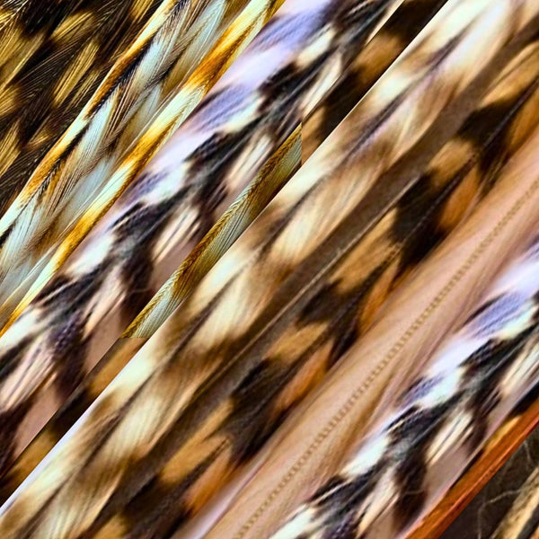 A close up of natural feather hair extensions mix by Wild4Feathers brand