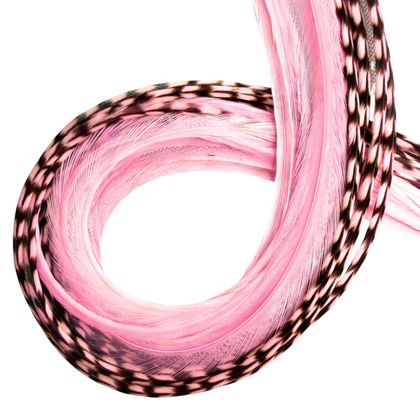 Light pink solid and grizzly feather hair extensions close-up, natural pattern real feather strands for feather hair styling 