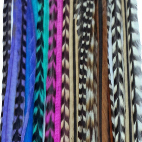 Close-up of colourful grizzly pattern feathers on a black background
