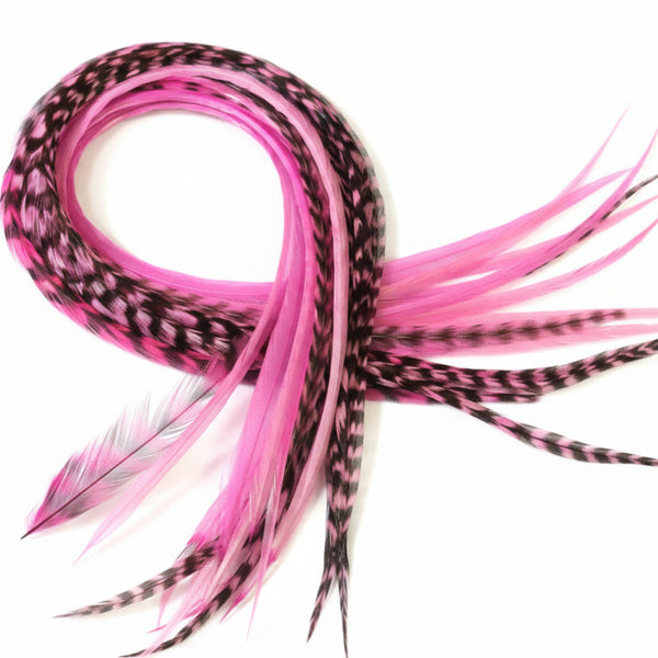 Pink solid and grizzly black striped hair feathers on a white background