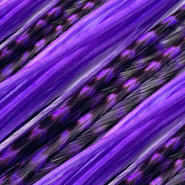 close up of purple solid feather hair extensions in regular width ,real hair feathers for feather hairstyling