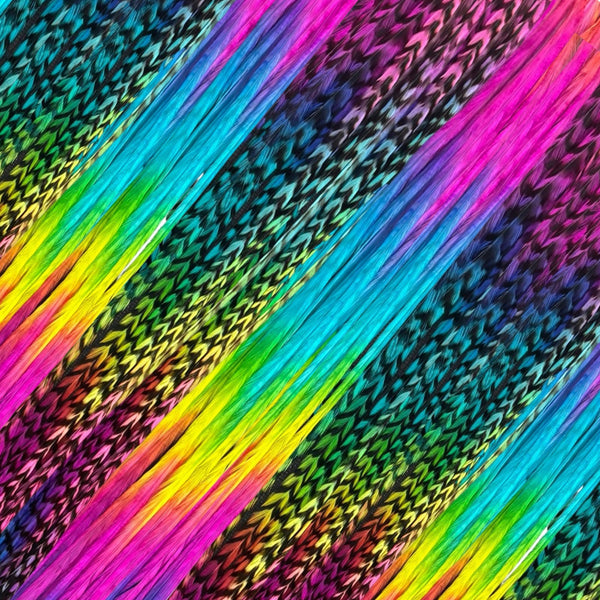 close up of bright rainbow solid and grizzly feather hair extensions in regular width ,real striped rainbow coloured feathers for feather hairstyling