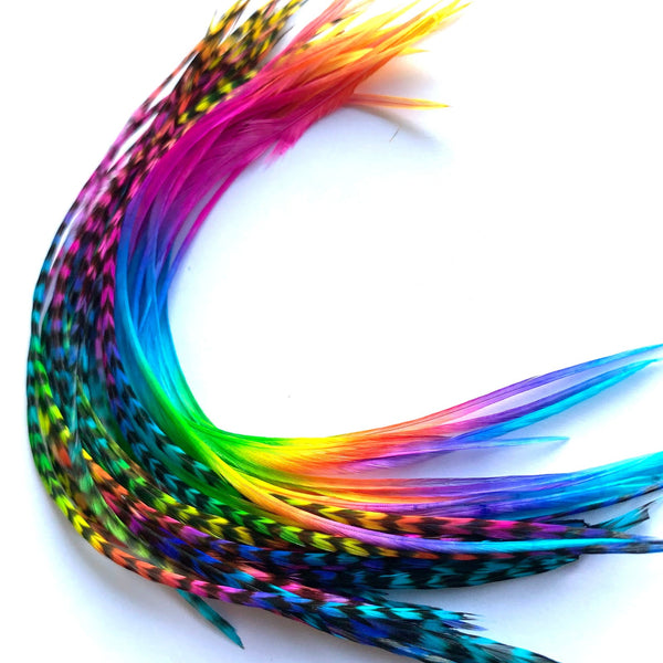 Colorful feather extensions arranged in a circular pattern on a white background