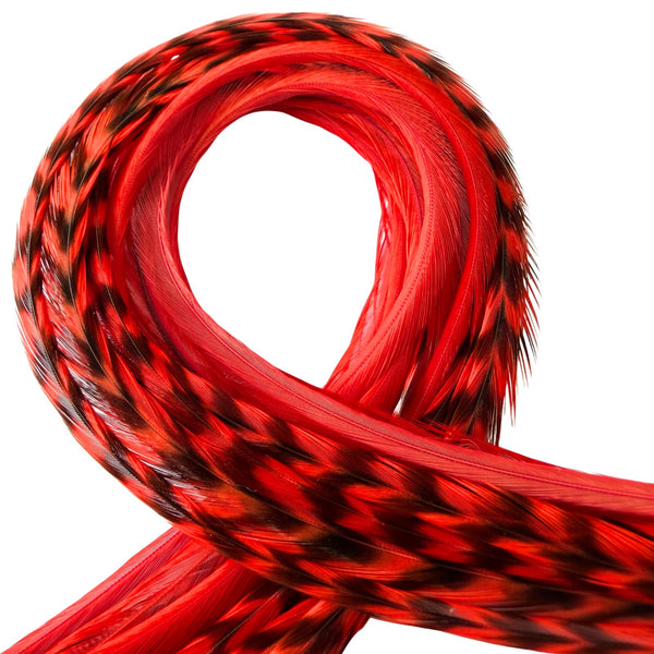 Red grizzly and solid feather hair extensions close-up, natural pattern real feather strands for hair styling