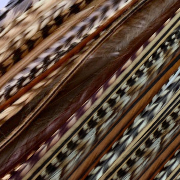 close-up of brown wide and skinny natural grizzly feather hair extensions in real grizzly pattern feather strands for hair styling