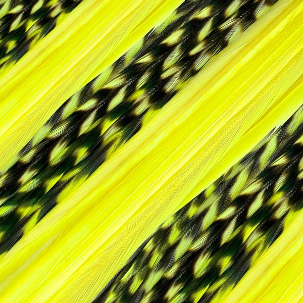 close up of yellow solid and grizzly feather hair extensions in regular width ,real striped feathers for feather hairstyling