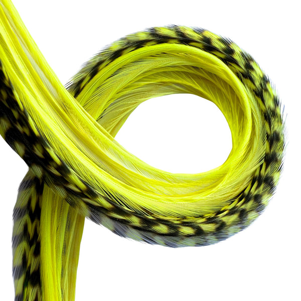 yellow grizzly mix feather hair extensions close-up, natural pattern real feather strands for hair styling