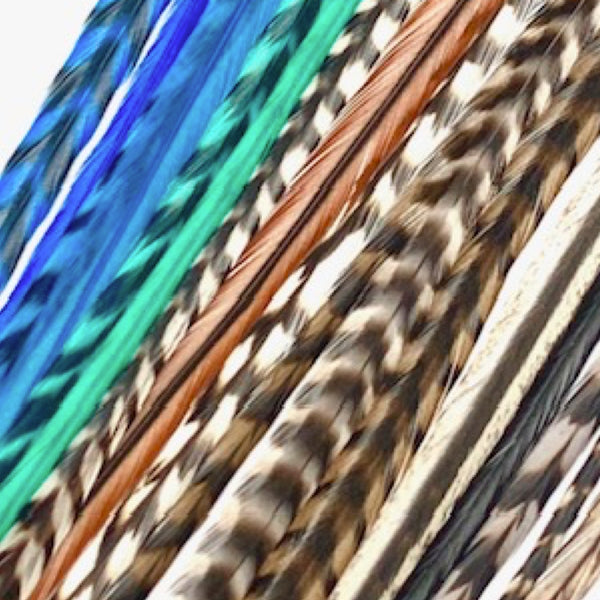 Mix of Blues Feathers Pack