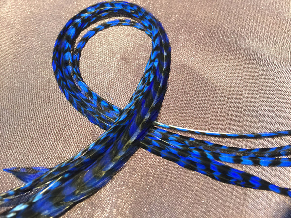 Electric Blue Solid and Grizzly Feather  All Lengths