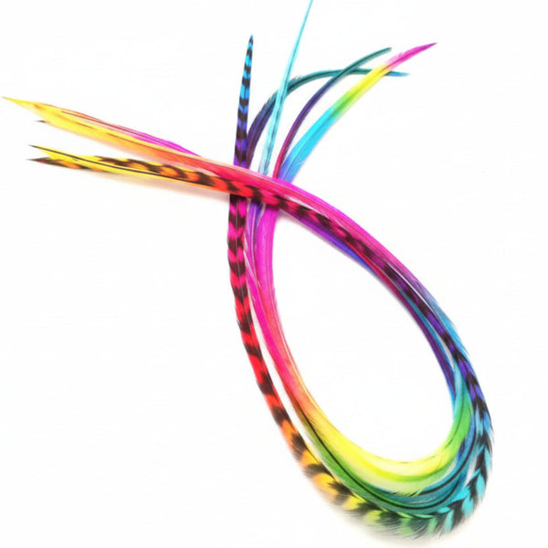 Rainbow Feather extensions Set