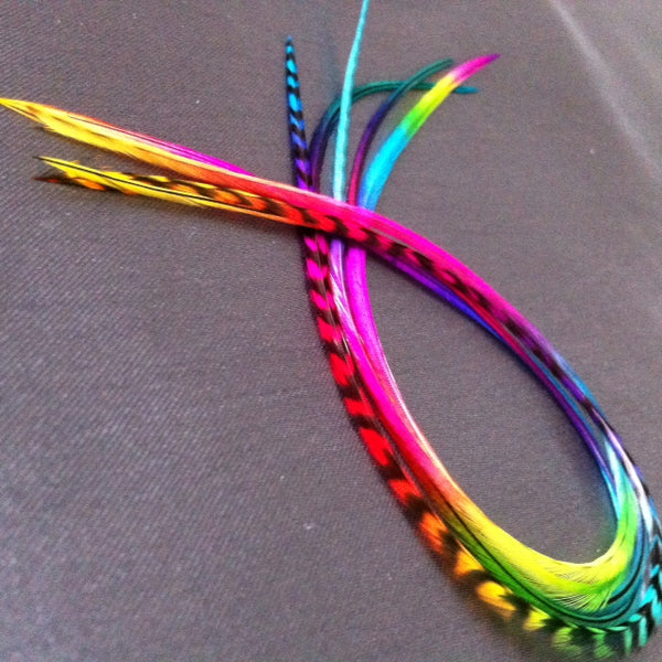 Rainbow Feathers 100 Pack Solid Grizzly Standard Lengths