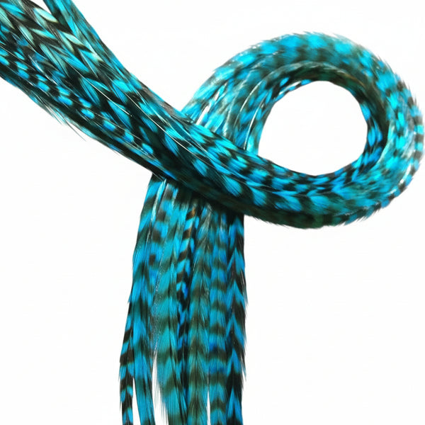 turquoise grizzly feather extensions on white background