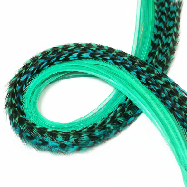close up of aqua blue solid and grizzly feather hair extensions in regular width ,real striped feathers for feather hairstyling