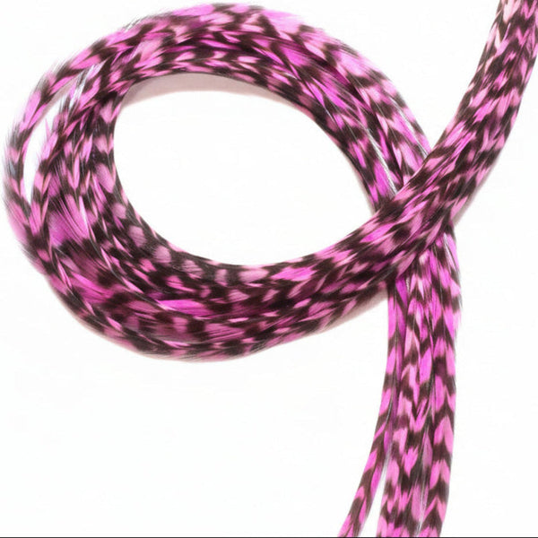 Hot Pink Grizzly Feathers grouped together on white background